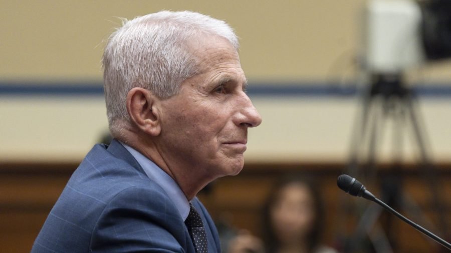 Fauci hearing thrusts COVID fights back into spotlight