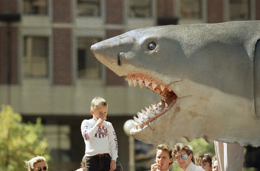'We're going to need a bigger boat' — our budget process is causing our fiscal problems