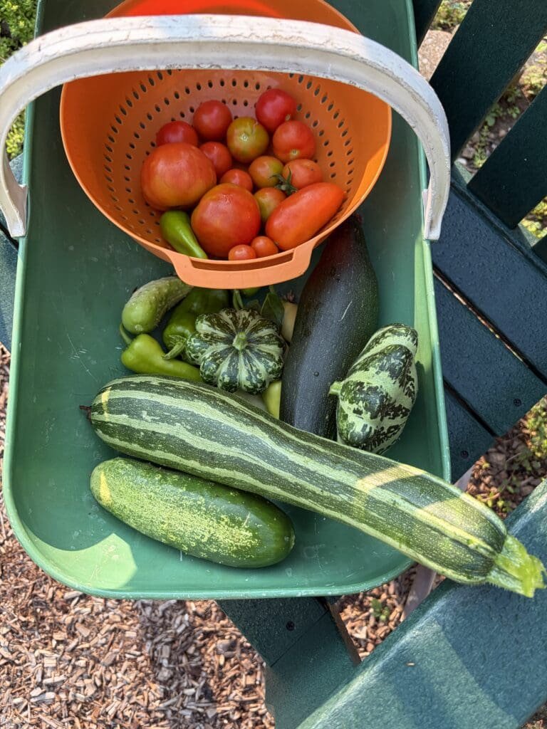 And the Garden Fairies Laughed