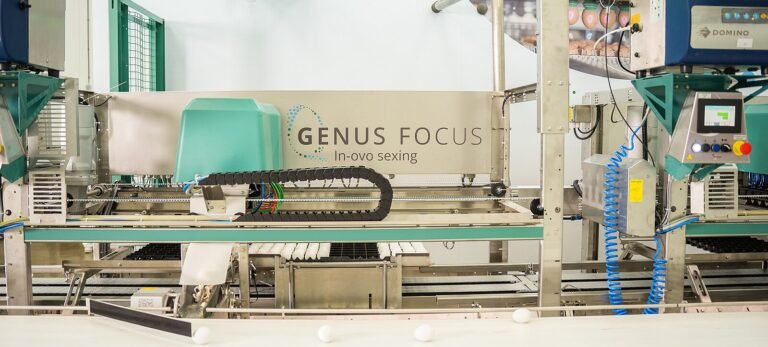 Orbem begins US rollout of MRI-based in-ovo sexing tech
