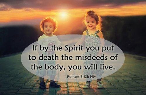 Life in the Spirit – Romans 8:12-14