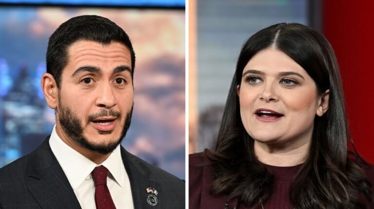 El-Sayed leads Stevens by 15 points in Michigan Senate primary: Poll 