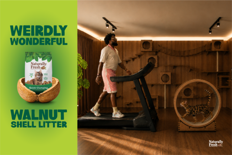 The Weirdly Wonderful Cat Litter Every Cat Parent Should Know About