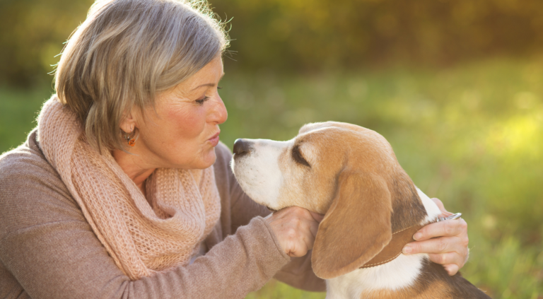 Why Modern Dog Care is Quietly Shifting From Treatment to Lifespan Stewardship