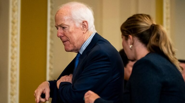 Trump shrugs off Cornyn's hold on Blanche: 'I heard he's going through quite nicely'