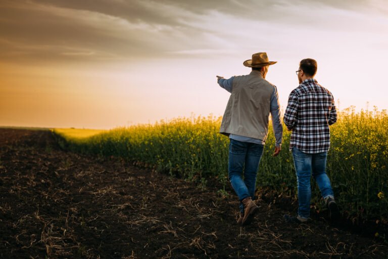 From ‘cautiously optimistic’ to ‘hollow words,’ agrifood weighs in on the US regen ag executive order