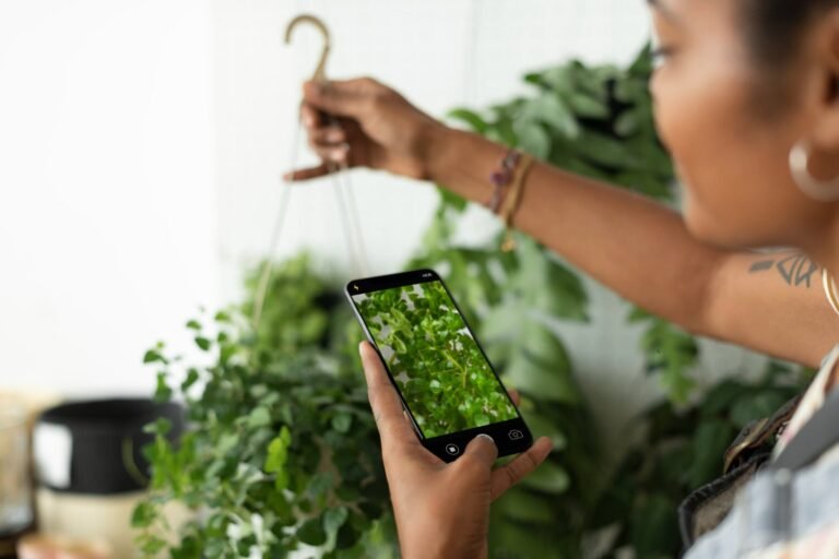 How to Identify any Plant With Your Android Phone in Seconds