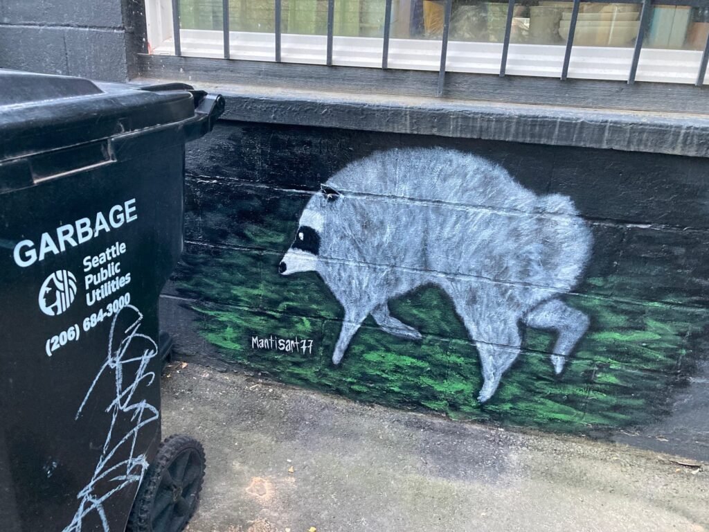 How Jimothy the Raccoon Became a Hero of the Misfits