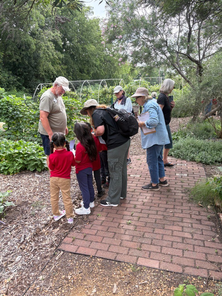 Raincatcher’s Early Summer Happenings