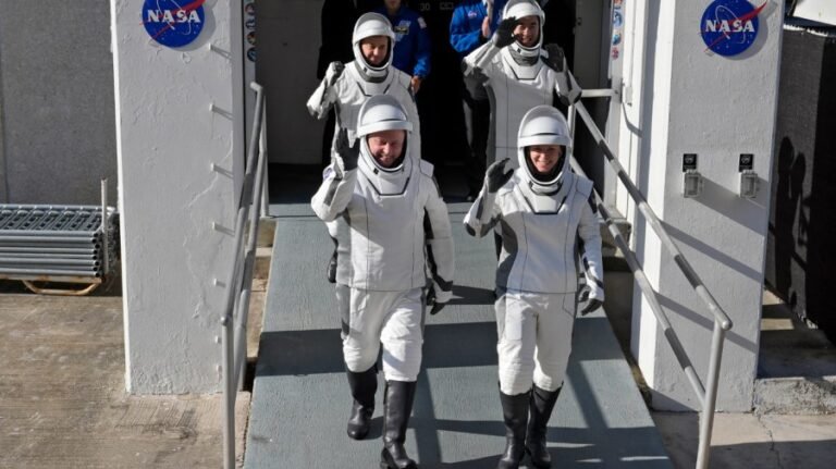 NASA should remember how it helped SpaceX become what it is today