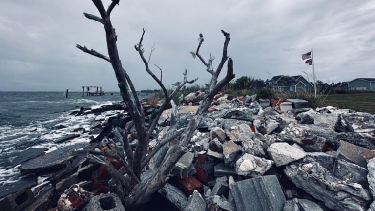 Confronting Salty Problems in the Coastal Plain