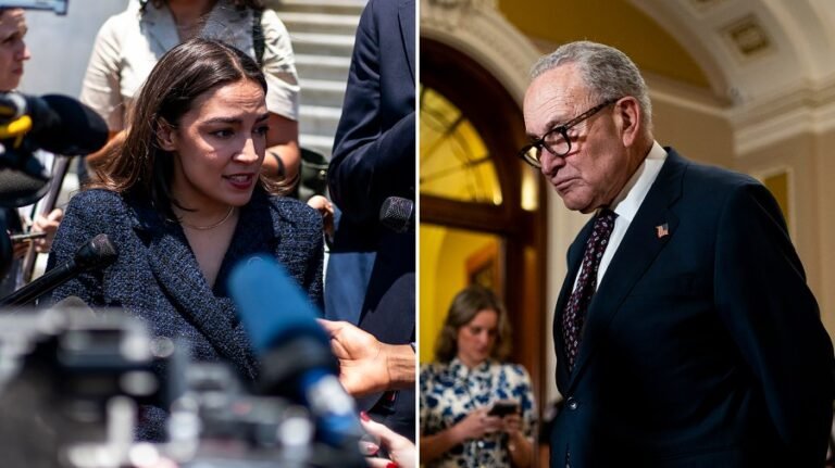 New York primaries spur progressive calls for Ocasio-Cortez to challenge Schumer