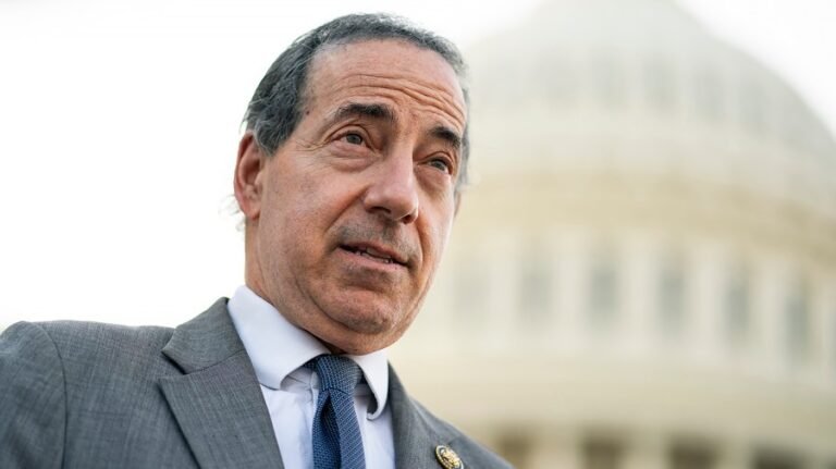 Raskin knocks ‘Trumped-up charges’ against former Olympian accused of Reflecting Pool vandalism