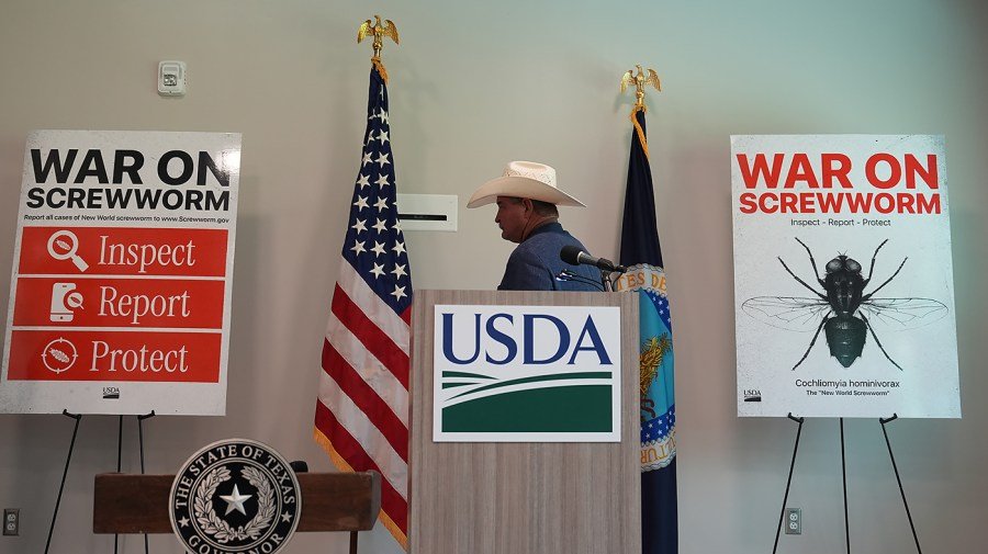 US to reopen border to Mexican cattle imports after screwworm shutdown