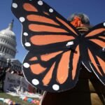Trump’s Unhinged Attacks on the Smithsonian