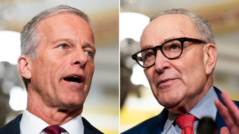 Senate control up for grabs: Survey