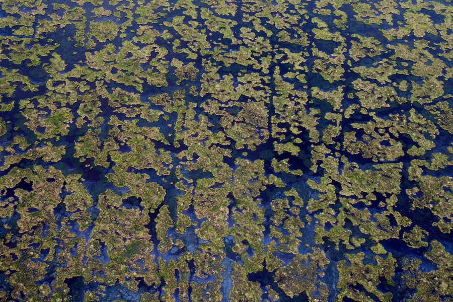 Wetlands policy causes GOP friction