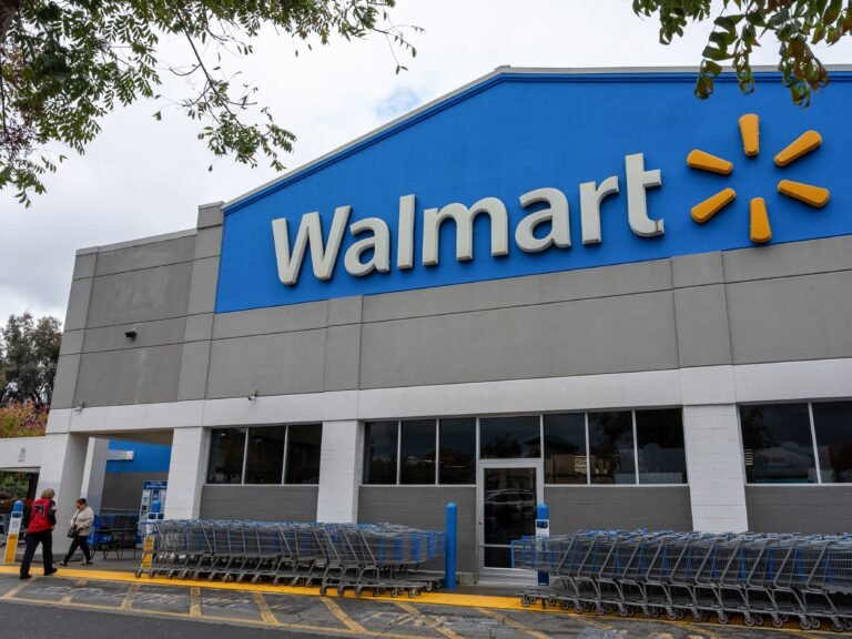 The creator of Walmart's vibe-coding tool Code Puppy is leaving for AI startup Pydantic