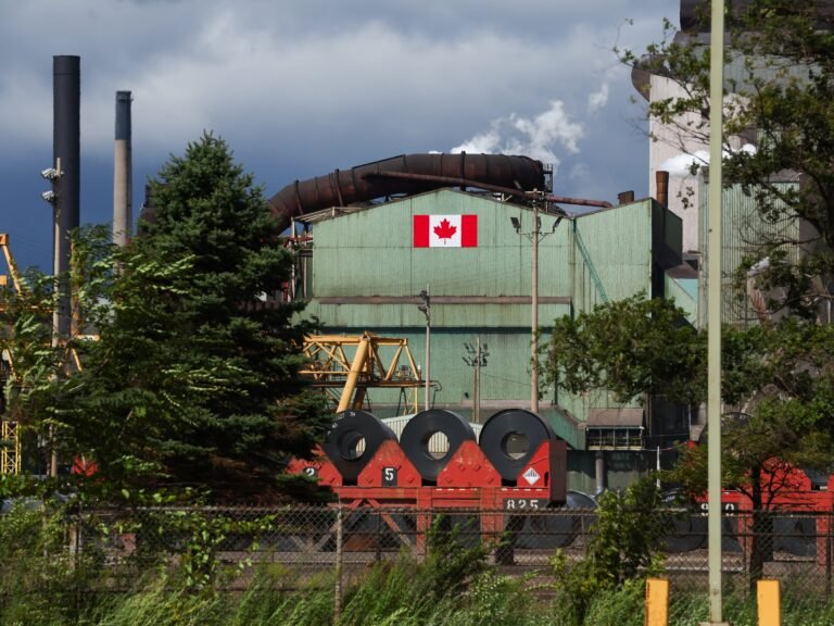 Mountie bears and battle-ready beavers star in a viral AI-made Canadian trade-war anthem