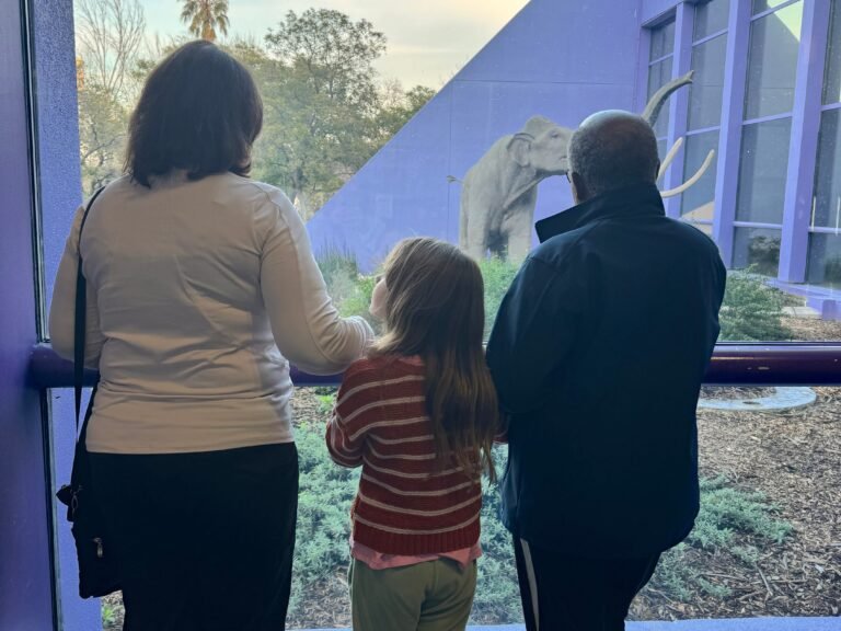 I prefer taking family trips with my in-laws. It reduces my mental load, and my kids love spending time with their grandparents.