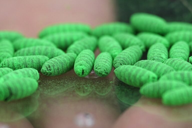 FDA green lights more screwworm medications: Should you give them to your pets?