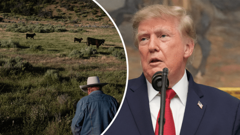 GOP backlash grows to Trump's beef price intervention