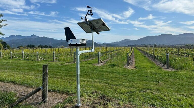 BioScout raises $4.8m for early warning system for fungal pathogens