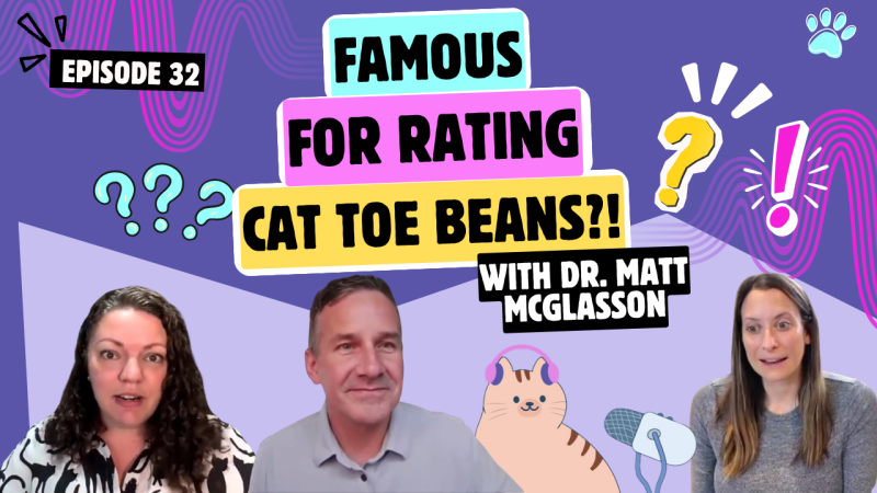 Chatting With Dr. Matt McGlasson About Special Needs Kitties, Social Media Fame, and Rating Cat Toe Beans | Chatty Cattys, Episode 32