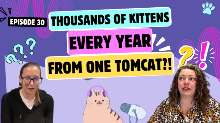 Chatting About the Importance of Spaying/Neutering, Cat Retail Shopping Ban & Red-Level Storms | Chatty Cattys, Episode 30