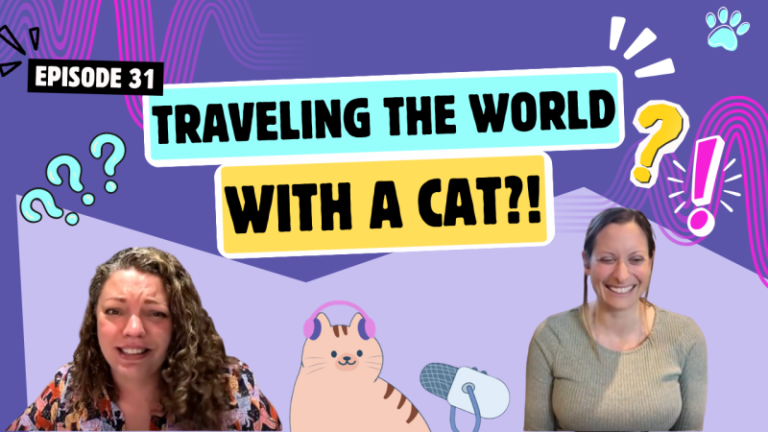 Chatting About Traveling With Cats, Beach Cats, and Telling Cats Off With Your Eyes | Chatty Cattys, Episode 31