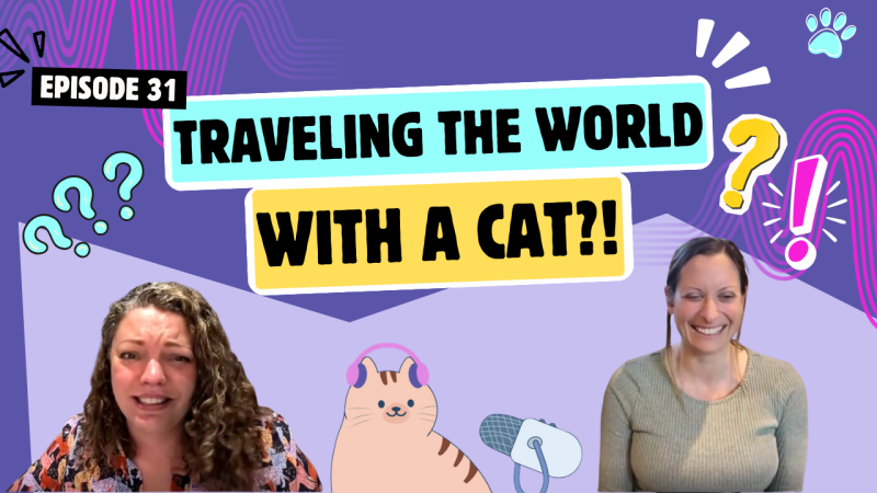 Chatting About Traveling With Cats, Beach Cats, and Telling Cats Off With Your Eyes | Chatty Cattys, Episode 31