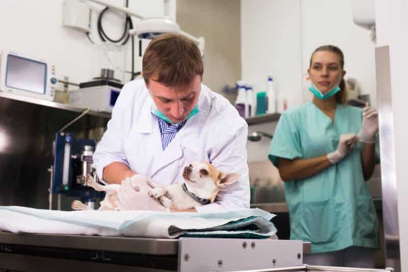 The Algorithm in the Exam Room: Who’s To Blame When AI Misdiagnosis Turns Deadly?