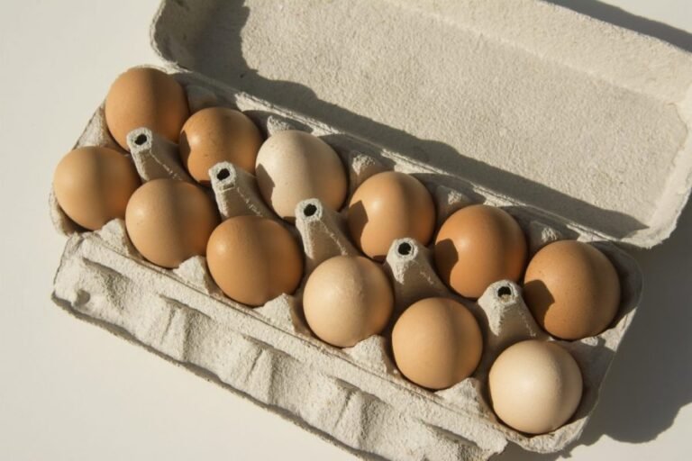 FDA assigns highest-risk Class I status for recall of nearly 1.6 million cartons of eggs
