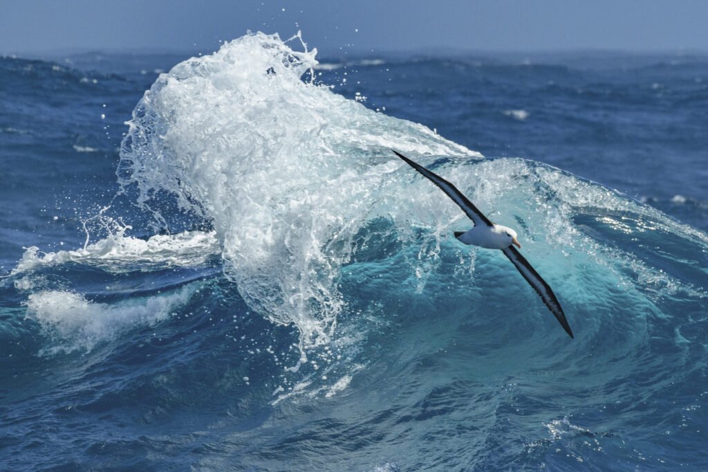 7 epic experiences for your Antarctica bucket list