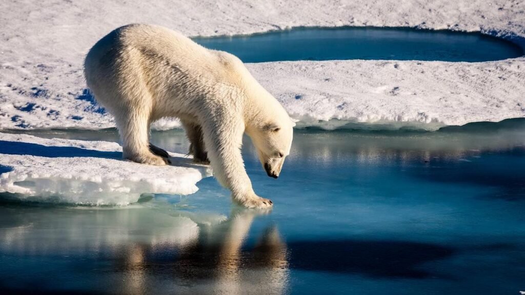 Arctic Report Card Will Move Ahead Without NOAA