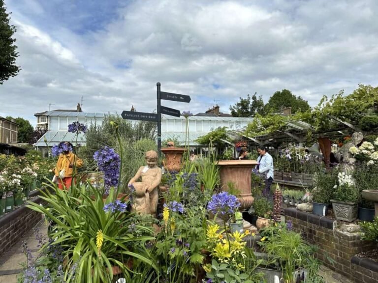 From Garden to Plate: A Beginner’s Guide to Growing Your Own Food