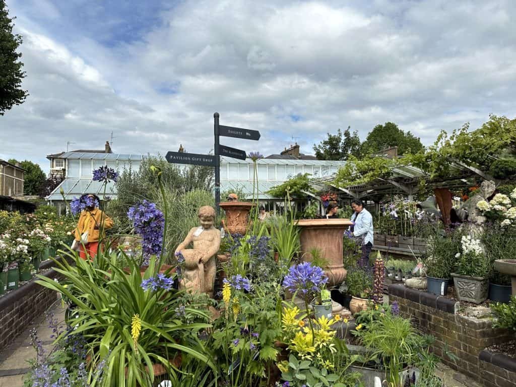 From Garden to Plate: A Beginner’s Guide to Growing Your Own Food