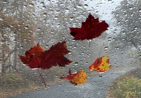 NOAA releases fall weather predictions for all 50 states as El Niño grows stronger