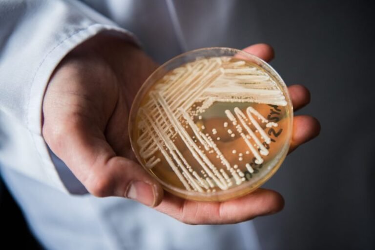 Superbug confirmed in 23 states: Where is the deadly fungus spreading in 2026?
