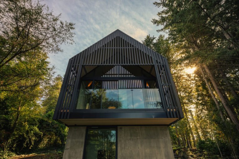 Little Giant Designs Its Own Forest Studio Around Light, Quiet, and Exploration