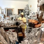 Dean Millien’s Aluminum-Foil Animal World