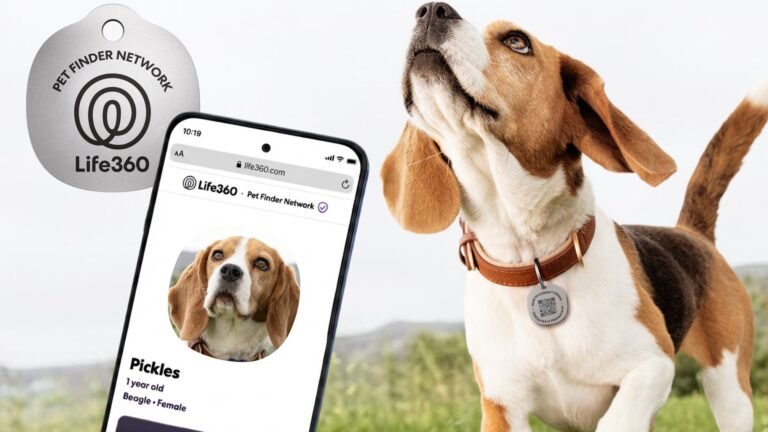 Life360 adds new pet care tools to help keep your household in sync