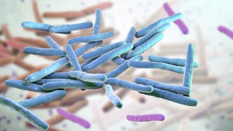 Leprosy cases climb in Florida: Here's how to reduce your risk