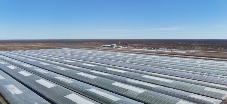 Plantible raises $35m in debt, equity, to increase RuBisCO protein production fivefold