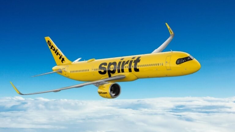Google's Bid for Spirit Airlines' Data Just Hit Two Major Roadblocks