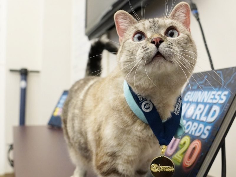 The Love Behind ‘Love, Nala’