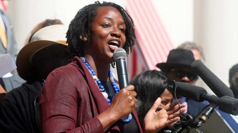 Angie Nixon on division between progressive, establishment Democrats: 'It's not about labels'