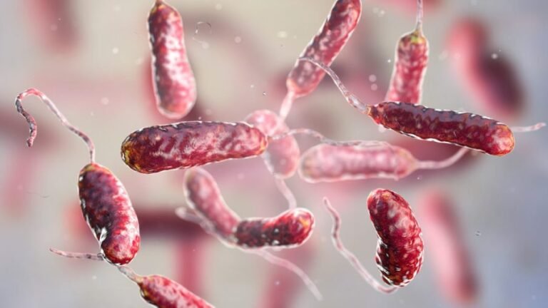 Why are flesh-eating bacteria expanding beyond traditional hotspots?