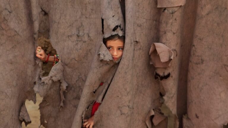 No one should be sent back to Taliban rule