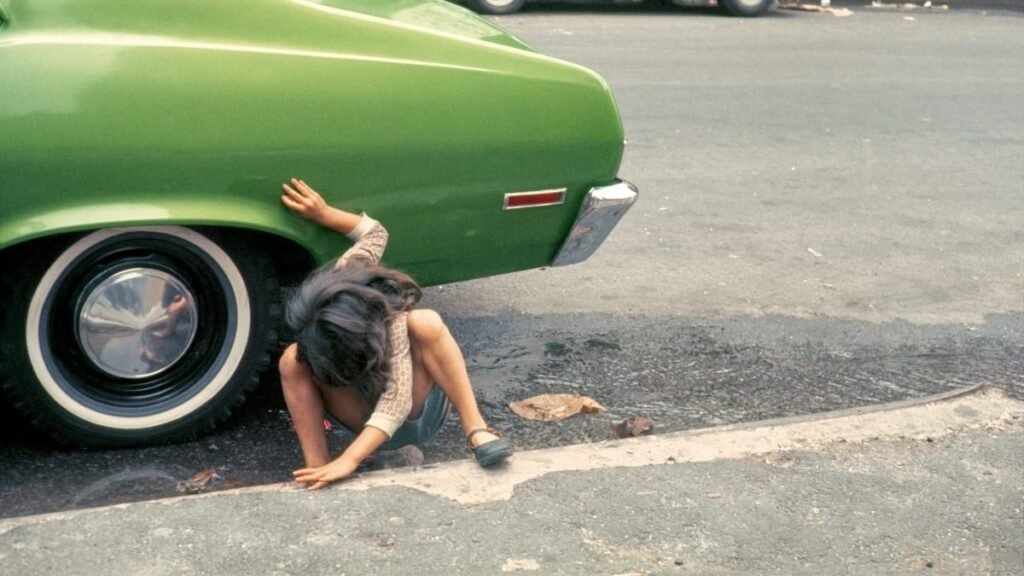 Photo Books for Summer’s End